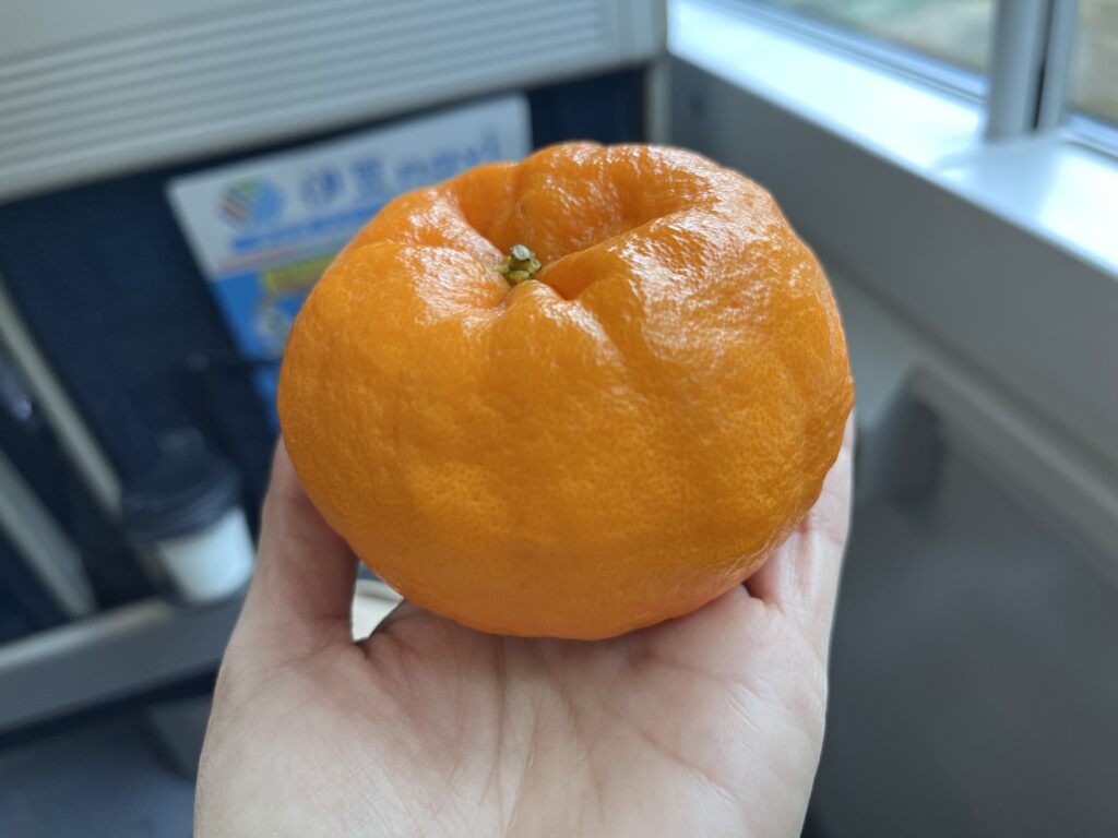 みかん